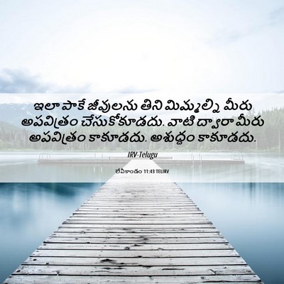 Picture 06 - లేవీకాండం 11:43 TELIRV - ఇలా పాకే జీవులను - Bible Verse Picture