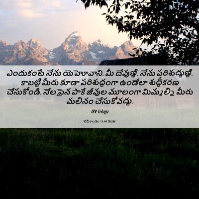 Picture 06 - లేవీకాండం 11:44 TELIRV - ఎందుకంటే నేను - Bible Verse Picture