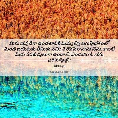 Picture 06 - లేవీకాండం 11:45 TELIRV - మీకు దేవుడిగా - Bible Verse Picture