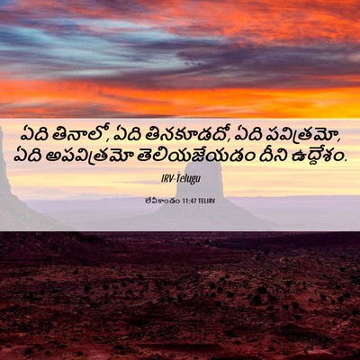 Picture 06 - లేవీకాండం 11:47 TELIRV - ఏది తినాలో, ఏది - Bible Verse Picture
