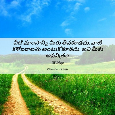 Picture 06 - లేవీకాండం 11:8 TELIRV - వీటి మాంసాన్ని - Bible Verse Picture