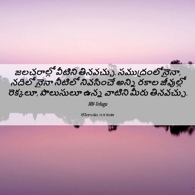Picture 06 - లేవీకాండం 11:9 TELIRV - జలచరాల్లో వీటిని - Bible Verse Picture
