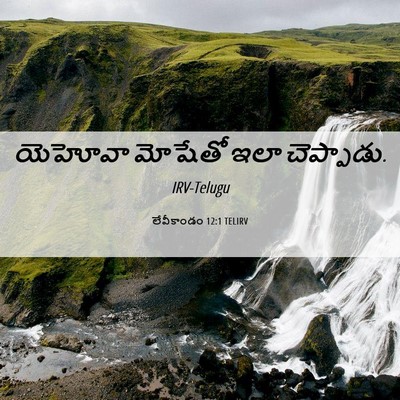 Picture 06 - లేవీకాండం 12:1 TELIRV - యెహోవా మోషేతో ఇలా - Bible Verse Picture
