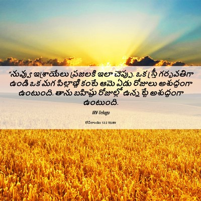 Picture 06 - లేవీకాండం 12:2 TELIRV - “నువ్వు ఇశ్రాయేలు - Bible Verse Picture
