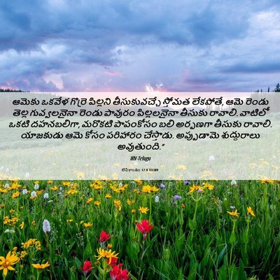 Picture 06 - లేవీకాండం 12:8 TELIRV - ఆమెకు ఒకవేళ - Bible Verse Picture