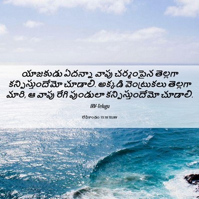 Picture 06 - లేవీకాండం 13:10 TELIRV - యాజకుడు ఏదన్నా - Bible Verse Picture