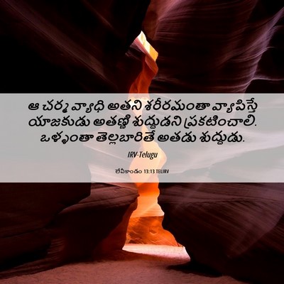Picture 06 - లేవీకాండం 13:13 TELIRV - ఆ చర్మ వ్యాధి అతని - Bible Verse Picture