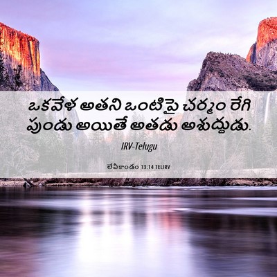 Picture 06 - లేవీకాండం 13:14 TELIRV - ఒకవేళ అతని ఒంటిపై - Bible Verse Picture