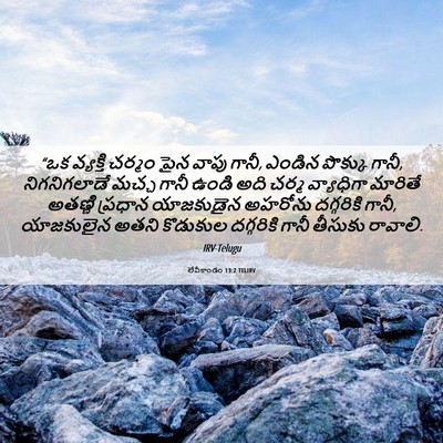 Picture 06 - లేవీకాండం 13:2 TELIRV - “ఒక వ్యక్తి చర్మం - Bible Verse Picture