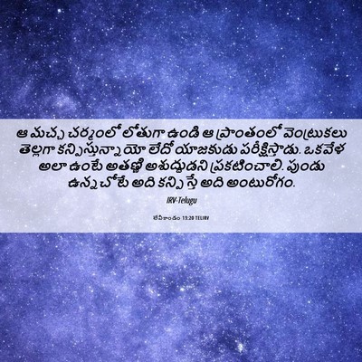 Picture 06 - లేవీకాండం 13:20 TELIRV - ఆ మచ్చ చర్మంలో - Bible Verse Picture