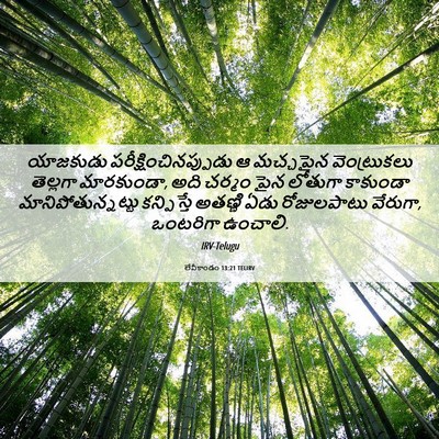 Picture 06 - లేవీకాండం 13:21 TELIRV - యాజకుడు - Bible Verse Picture