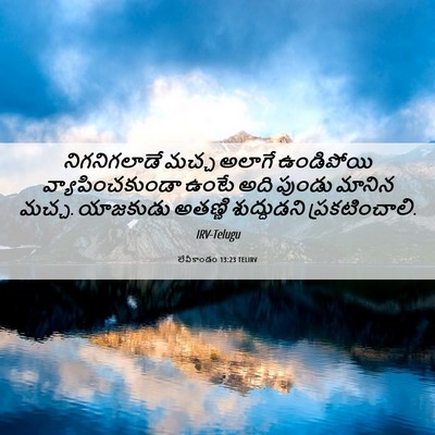Picture 06 - లేవీకాండం 13:23 TELIRV - నిగనిగలాడే మచ్చ - Bible Verse Picture