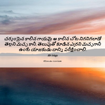Picture 06 - లేవీకాండం 13:24 TELIRV - చర్మంపైన కాలిన - Bible Verse Picture