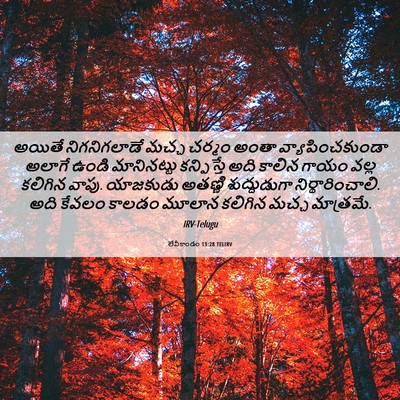 Picture 06 - లేవీకాండం 13:28 TELIRV - అయితే నిగనిగలాడే - Bible Verse Picture