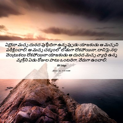 Picture 06 - లేవీకాండం 13:31 TELIRV - ఏదైనా మచ్చ దురద - Bible Verse Picture