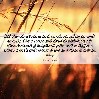 Picture 06 - లేవీకాండం 13:34 TELIRV - ఏడో రోజు యాజకుడు ఆ - Bible Verse Picture