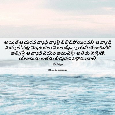 Picture 06 - లేవీకాండం 13:37 TELIRV - అయితే ఆ దురద - Bible Verse Picture