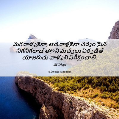 Picture 06 - లేవీకాండం 13:38 TELIRV - మగవాళ్ళకైనా, - Bible Verse Picture