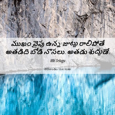 Picture 06 - లేవీకాండం 13:41 TELIRV - ముఖం వైపు ఉన్న - Bible Verse Picture