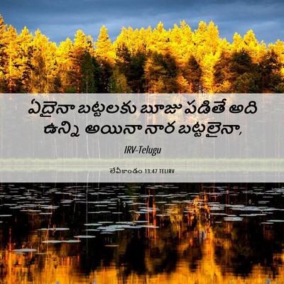 Picture 06 - లేవీకాండం 13:47 TELIRV - ఏదైనా బట్టలకు - Bible Verse Picture