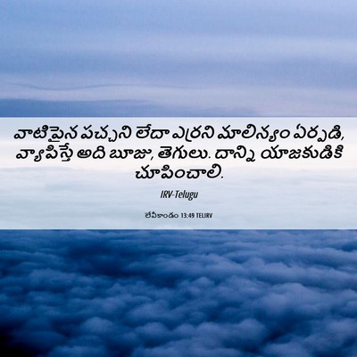 Picture 06 - లేవీకాండం 13:49 TELIRV - వాటిపైన పచ్చని - Bible Verse Picture
