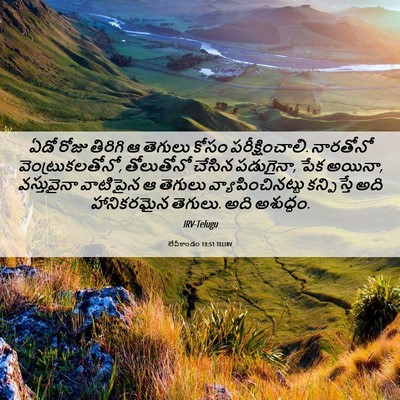 Picture 06 - లేవీకాండం 13:51 TELIRV - ఏడో రోజు తిరిగి ఆ - Bible Verse Picture
