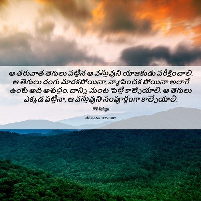 Picture 06 - లేవీకాండం 13:55 TELIRV - ఆ తరువాత తెగులు - Bible Verse Picture