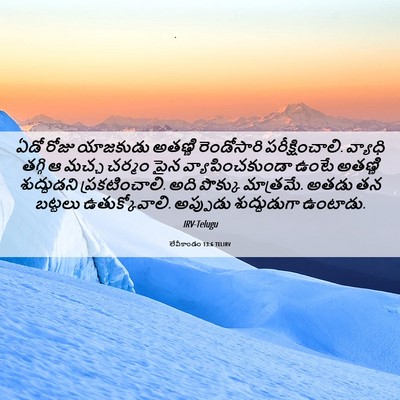 Picture 06 - లేవీకాండం 13:6 TELIRV - ఏడో రోజు యాజకుడు - Bible Verse Picture