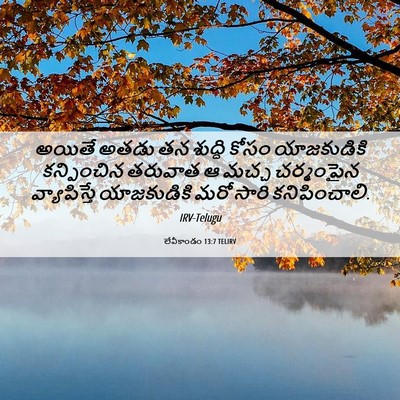 Picture 06 - లేవీకాండం 13:7 TELIRV - అయితే అతడు తన - Bible Verse Picture