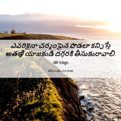 Picture 06 - లేవీకాండం 13:9 TELIRV - ఎవరికైనా చర్మంపైన - Bible Verse Picture