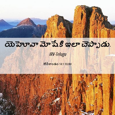 Picture 06 - లేవీకాండం 14:1 TELIRV - యెహోవా మోషేకి ఇలా - Bible Verse Picture