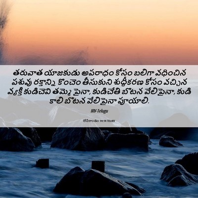 Picture 06 - లేవీకాండం 14:14 TELIRV - తరువాత యాజకుడు - Bible Verse Picture