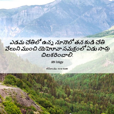 Picture 06 - లేవీకాండం 14:16 TELIRV - ఎడమ చేతిలో ఉన్న - Bible Verse Picture