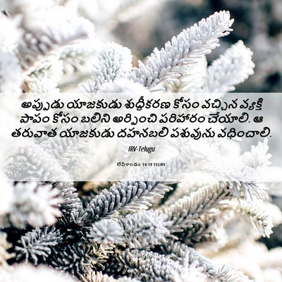 Picture 06 - లేవీకాండం 14:19 TELIRV - అప్పుడు యాజకుడు - Bible Verse Picture