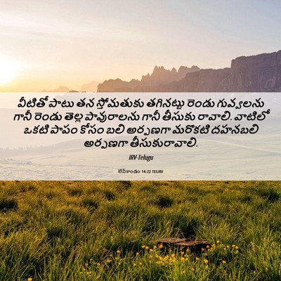 Picture 06 - లేవీకాండం 14:22 TELIRV - వీటితో పాటు తన - Bible Verse Picture