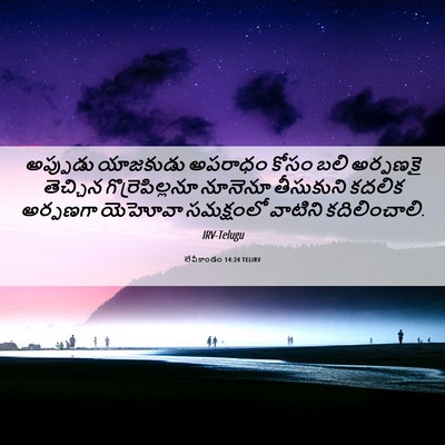 Picture 06 - లేవీకాండం 14:24 TELIRV - అప్పుడు యాజకుడు - Bible Verse Picture