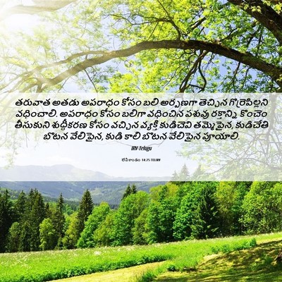 Picture 06 - లేవీకాండం 14:25 TELIRV - తరువాత అతడు - Bible Verse Picture