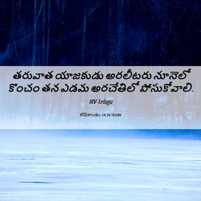 Picture 06 - లేవీకాండం 14:26 TELIRV - తరువాత యాజకుడు - Bible Verse Picture