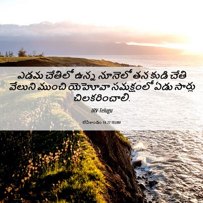 Picture 06 - లేవీకాండం 14:27 TELIRV - ఎడమ చేతిలో ఉన్న - Bible Verse Picture