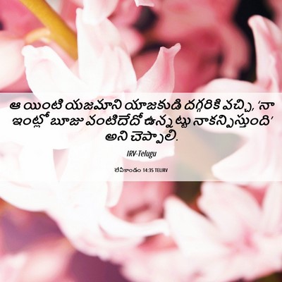 Picture 06 - లేవీకాండం 14:35 TELIRV - ఆ యింటి యజమాని - Bible Verse Picture