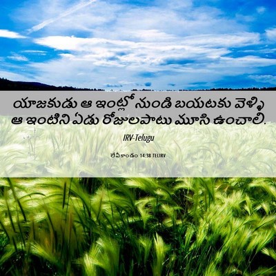 Picture 06 - లేవీకాండం 14:38 TELIRV - యాజకుడు ఆ ఇంట్లో - Bible Verse Picture