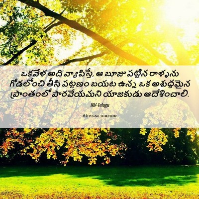 Picture 06 - లేవీకాండం 14:40 TELIRV - ఒకవేళ అది - Bible Verse Picture