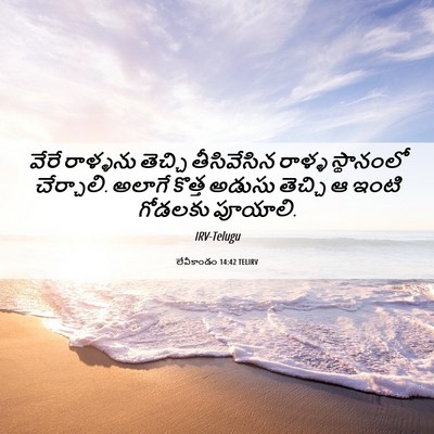 Picture 06 - లేవీకాండం 14:42 TELIRV - వేరే రాళ్ళను - Bible Verse Picture