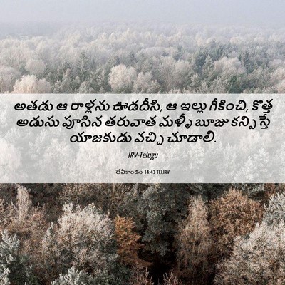 Picture 06 - లేవీకాండం 14:43 TELIRV - అతడు ఆ రాళ్లను - Bible Verse Picture