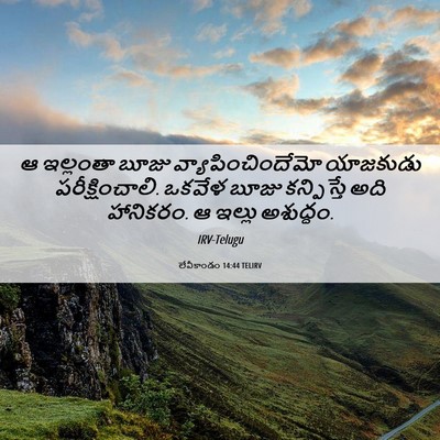 Picture 06 - లేవీకాండం 14:44 TELIRV - ఆ ఇల్లంతా బూజు - Bible Verse Picture