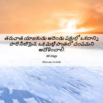 Picture 06 - లేవీకాండం 14:5 TELIRV - తరువాత యాజకుడు - Bible Verse Picture