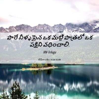 Picture 06 - లేవీకాండం 14:50 TELIRV - పారే నీళ్ళపైన ఒక - Bible Verse Picture