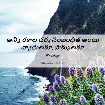 Picture 06 - లేవీకాండం 14:54 TELIRV - అన్ని రకాల చర్మ - Bible Verse Picture