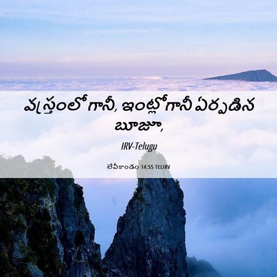 Picture 06 - లేవీకాండం 14:55 TELIRV - వస్త్రంలో గానీ, - Bible Verse Picture