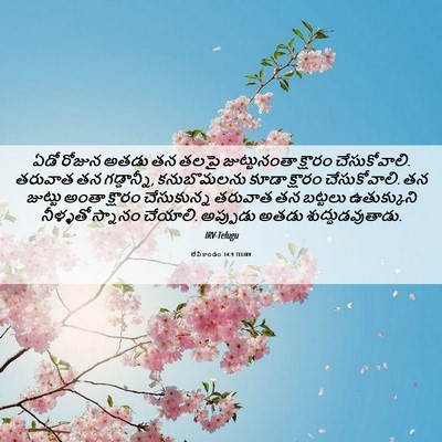 Picture 06 - లేవీకాండం 14:9 TELIRV - ఏడో రోజున అతడు తన - Bible Verse Picture